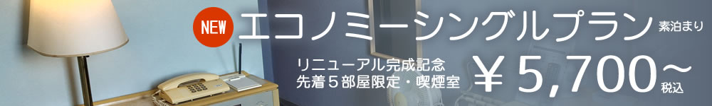 �G�R�m�~�[�V���O���v����